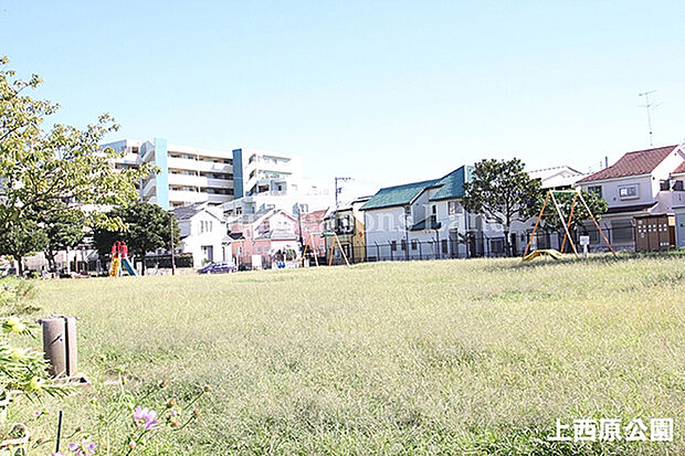 上西原公園まで約210m