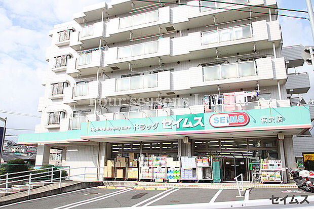 セイムス柄沢店まで約848m