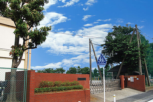 亀井野小学校まで約560m