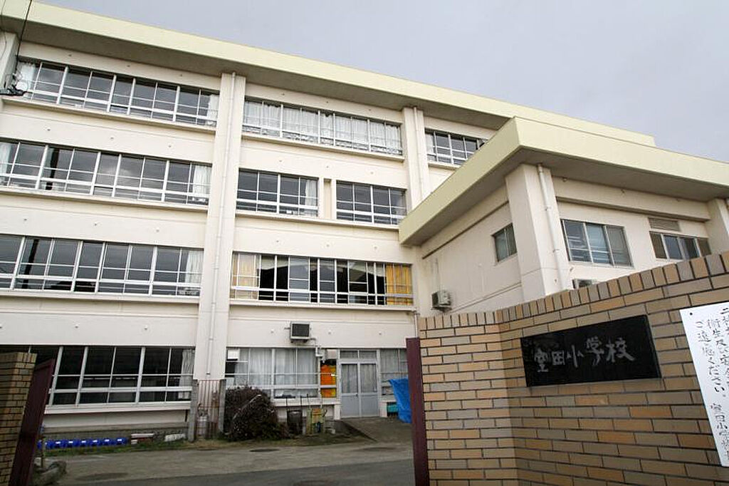 Image 50