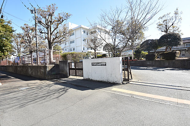 平塚市立山城中学校まで約385m