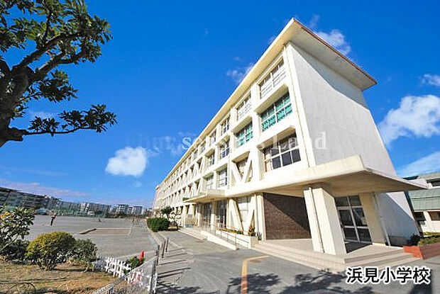 浜見小学校まで約368m