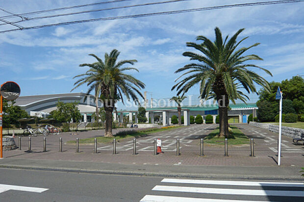 鵠沼運動公園(八部公園)まで約278m