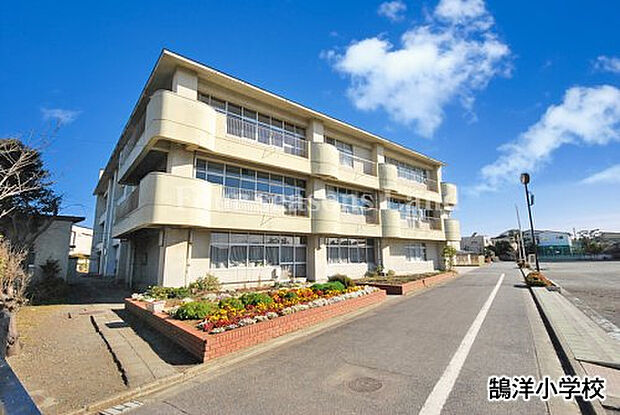 鵠洋小学校まで約600m