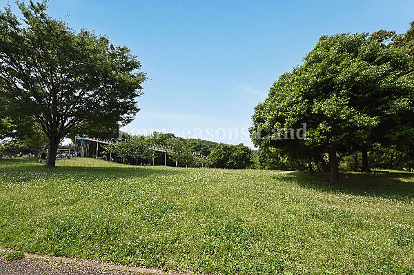 茅ヶ崎里山公園まで約487m