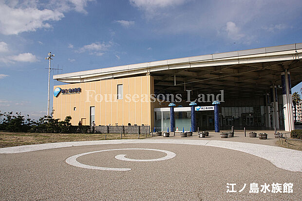 新江ノ島水族館まで約956m