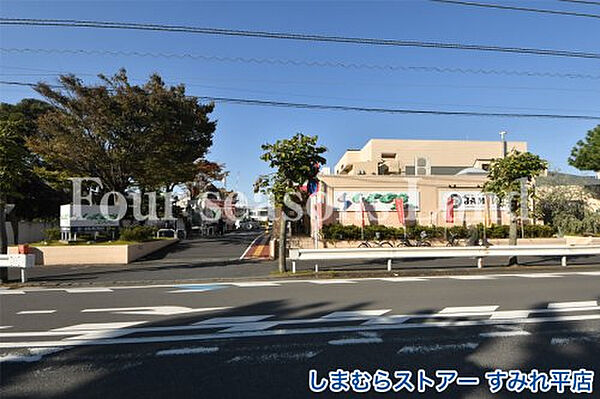 しまむらストアー すみれ平店まで約113m