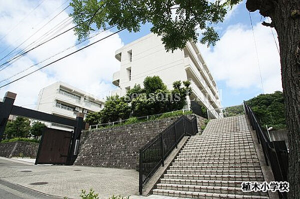鎌倉市立植木小学校まで約671m