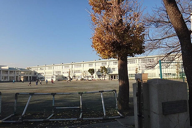 松林小学校まで約547m