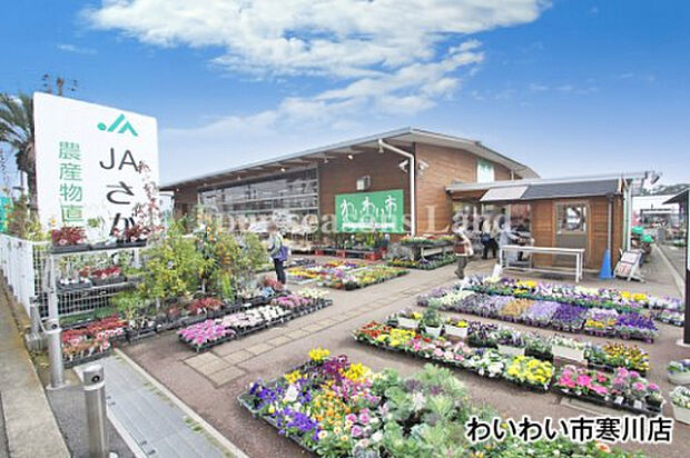わいわい市寒川店まで約1307m