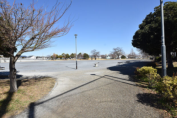 桜ヶ丘公園まで約317m