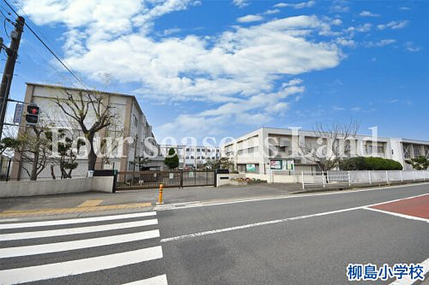 柳島小学校まで約884m