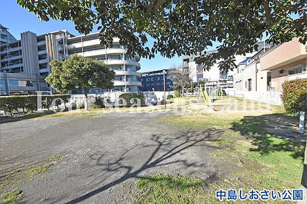 中島しおさい公園まで約546m