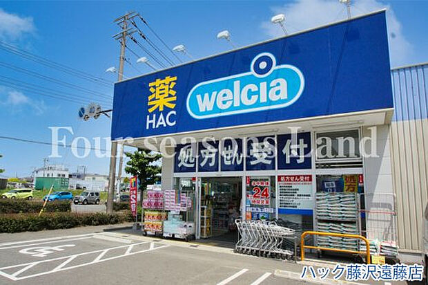 ハック藤沢遠藤店まで約370m