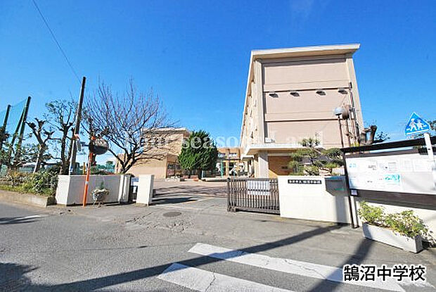 鵠沼中学校まで約206m