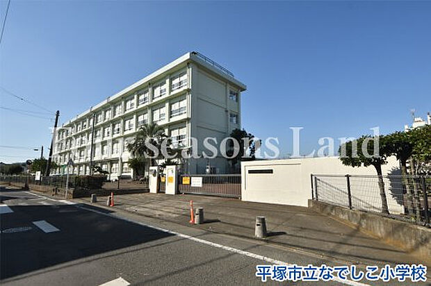平塚市立なでしこ小学校まで約571m