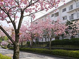 UR小山田桜台  ｜ 東京都町田市小山田桜台1丁目（賃貸マンション3LDK・5階・79.86㎡） その13