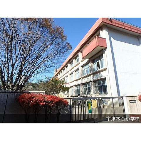 小学校「八王子市立宇津木台小学校まで810ｍ」