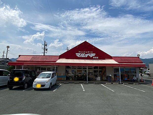 フレッシュマートマルイチ野田店 700m