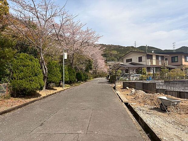 前面道路含む現地写真