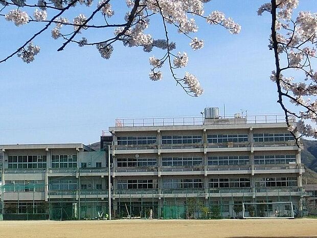 島本町立第一中学校（700m）