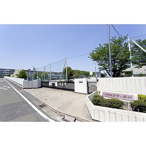 小学校「市立西菅小学校まで10ｍ」