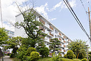 洋光台駅より徒歩11分 築55年2ヶ月 5階建の賃貸物件