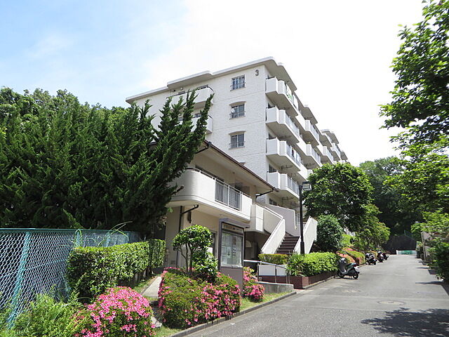 植栽が綺麗に整っています