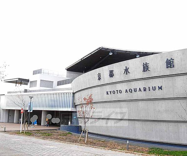 画像27:京都水族館まで960m 梅小路公園内にできた京都の新名所（2013年3月オープン）。とくにイルカショーが人気でたくさんの人でにぎわっています。