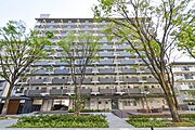 ＵＲ都市機構桜田団地８号棟 3階 築45年7ヶ月の賃貸物件