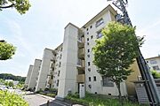 ＵＲ都市機構岩成台団地０２３棟 3階 築55年の賃貸物件