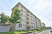 ＵＲ都市機構岩成台団地０１３棟 4階 築55年7ヶ月の賃貸物件