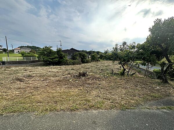 2024年6月撮影
