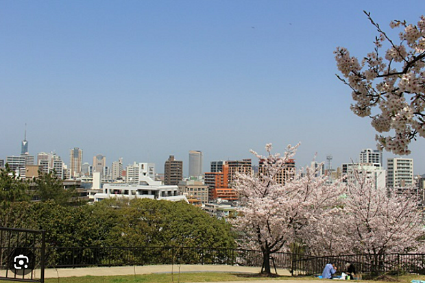 近くに祖原公園、春には桜も咲きます。