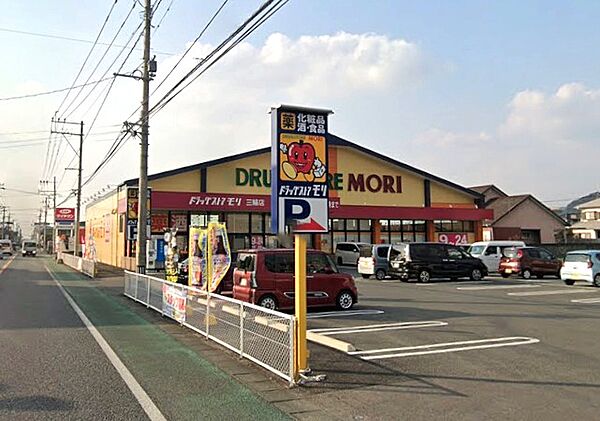 ドラッグストアモリ三輪店：323ｍ、徒歩5分！
