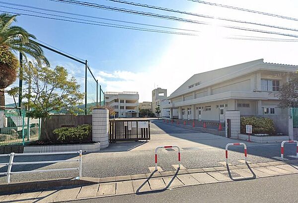 福岡市立玄洋小学校：800ｍ、徒歩10分！