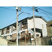 須田文化 1階 築54年6ヶ月の賃貸物件