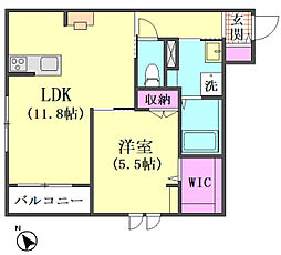 サンシャインS 1LDKの間取図画像