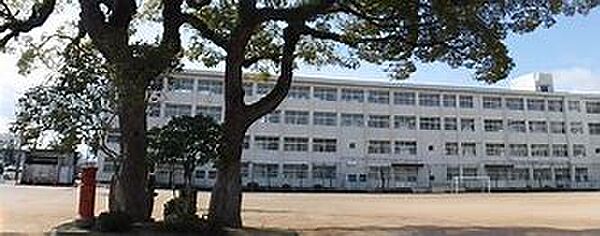 画像2:姫路市立白浜小学校