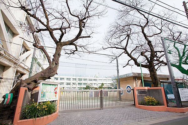 世田谷区立等々力小学校（701m）