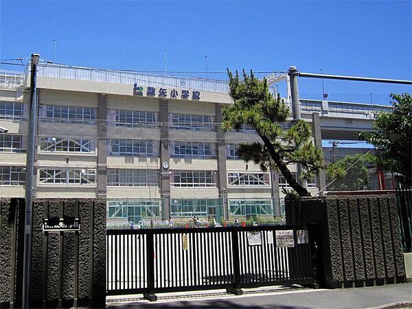 江東区立数矢小学校（287m）