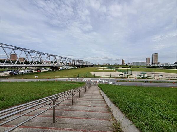 江戸川河川敷緑地（224m）