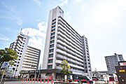 ＵＲ都市機構白銀一丁目団地白銀ニュー第一ビル 11階 築48年3ヶ月の賃貸物件