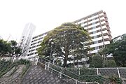 ＵＲ賃貸住宅到津南団地１号棟 11階 築40年4ヶ月の賃貸物件
