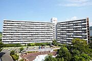新下関駅より徒歩12分 10階 築46年3ヶ月の賃貸物件