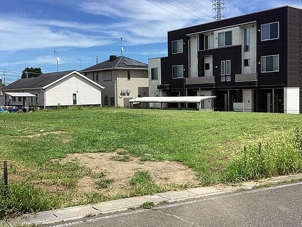 外観：311002319897