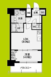 スプランディッドVII 8階1LDKの間取り
