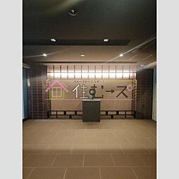 13 / 31