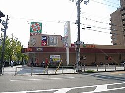 8 / 23