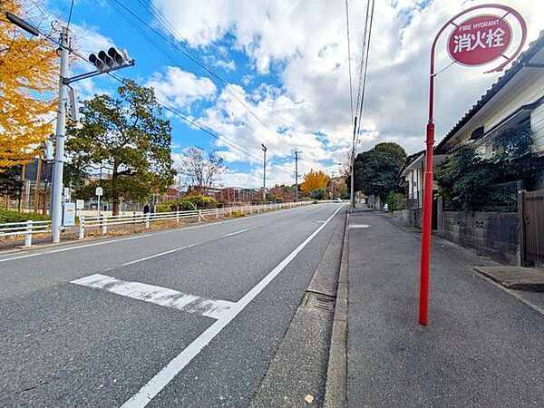 外観：340000262713